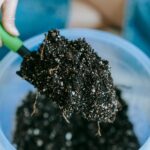 pexels-teona-swift-6913399 (1)