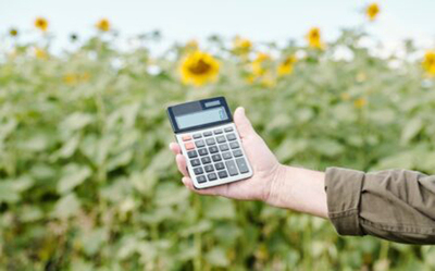 Hands of senior male farmer in workwear holding calculator with zero on its display against green sunflower field and sky on summer day