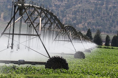 irrigation-6986021_640 (1)