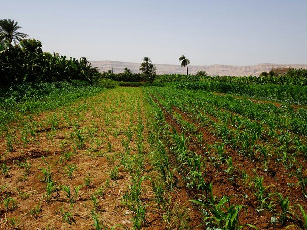 m-abnodey-e9EuIU5Q-kA-unsplash (1)