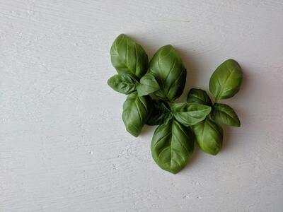 pexels-asya-vlasova-228168-2575378 (1)