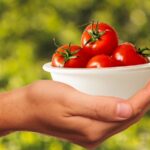 tomatoes-1993695_640